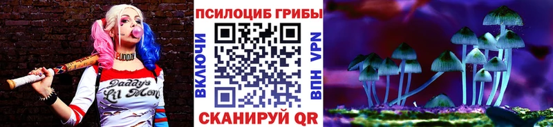 Псилоцибиновые грибы прущие грибы  магазин продажи наркотиков  Карабаново 