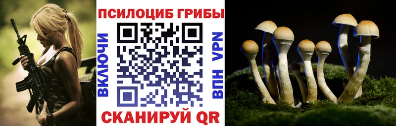 Псилоцибиновые грибы мицелий Карабаново